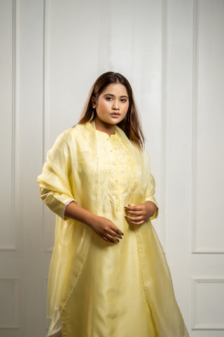 French Knot Kurta | Kurta With Dupatta and pant sold separately - You Ensembles