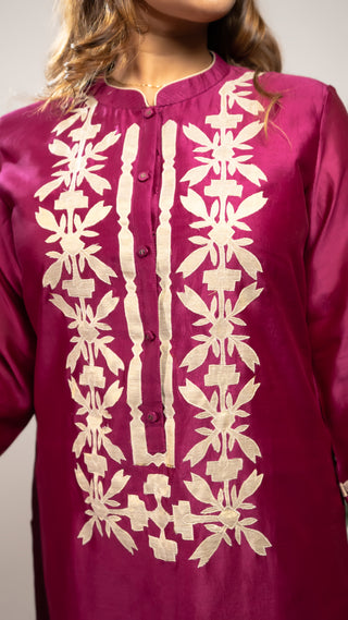 Tissue Applique Kurta