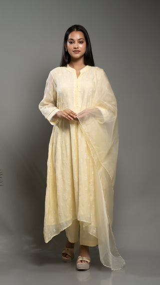 Powder yellow floral embroidery kurta set with organza dupatta and malai cotton pants.