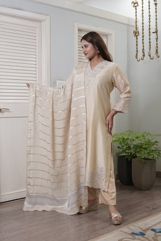 Tissue Appliqué Kurta | Beige | SKU P-417 | Original photo DSC01059