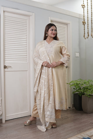 Tissue Appliqué Kurta | Beige | SKU P-417 | Original photo DSC01064